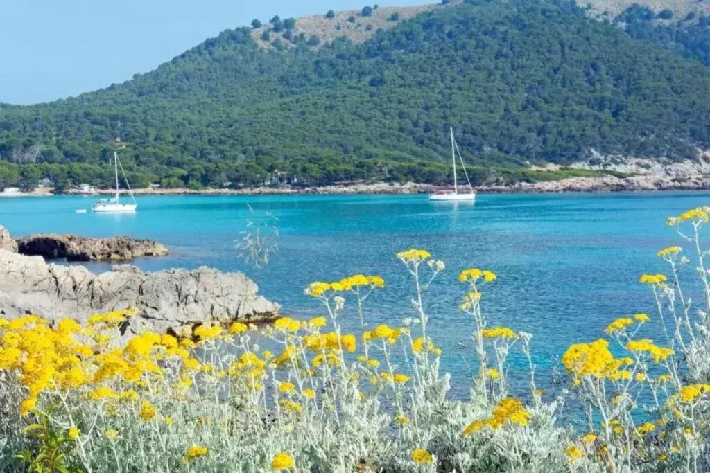 Beach, HSM Regana, Majorca