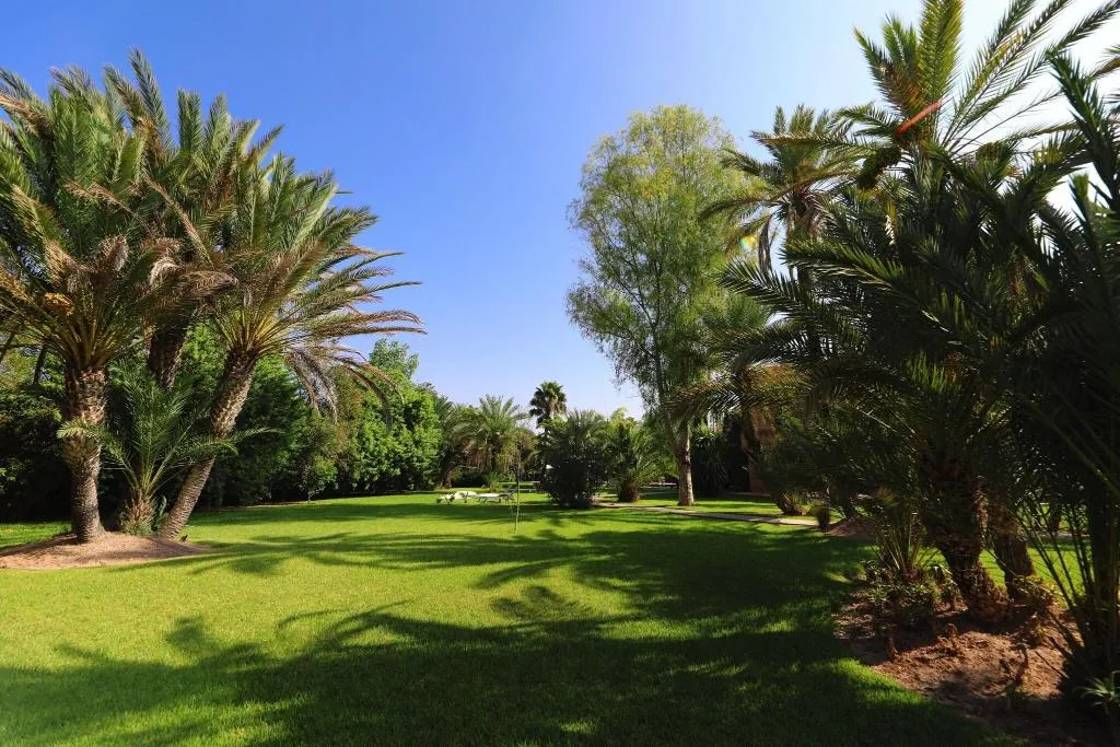 Terrace, Villa al Assala Palmeraie, Marrakech