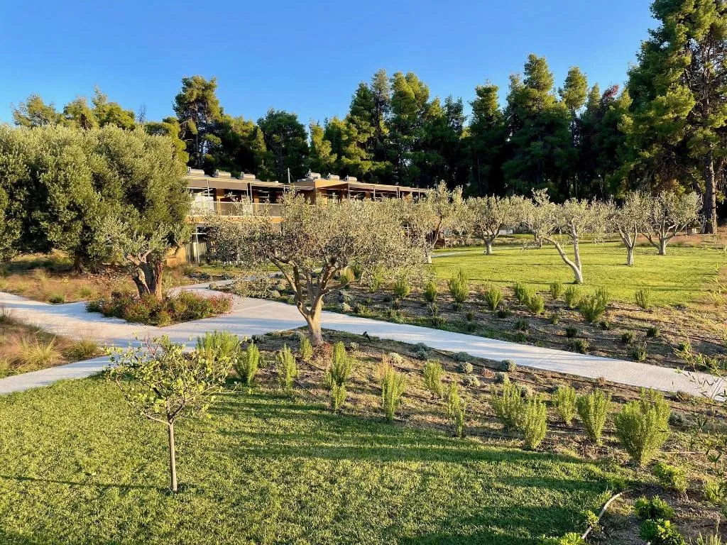 General view, Sani Verde, Halkidiki