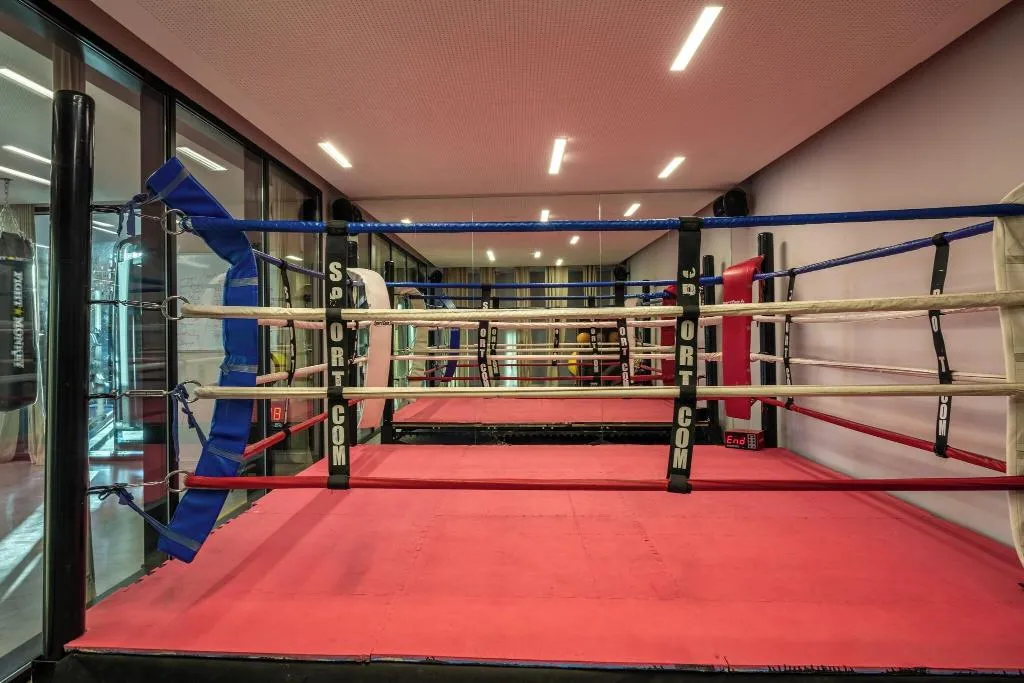 Sports and Entertainment, Radisson Blu Hotel Marrakech Carré Eden, Marrakech
