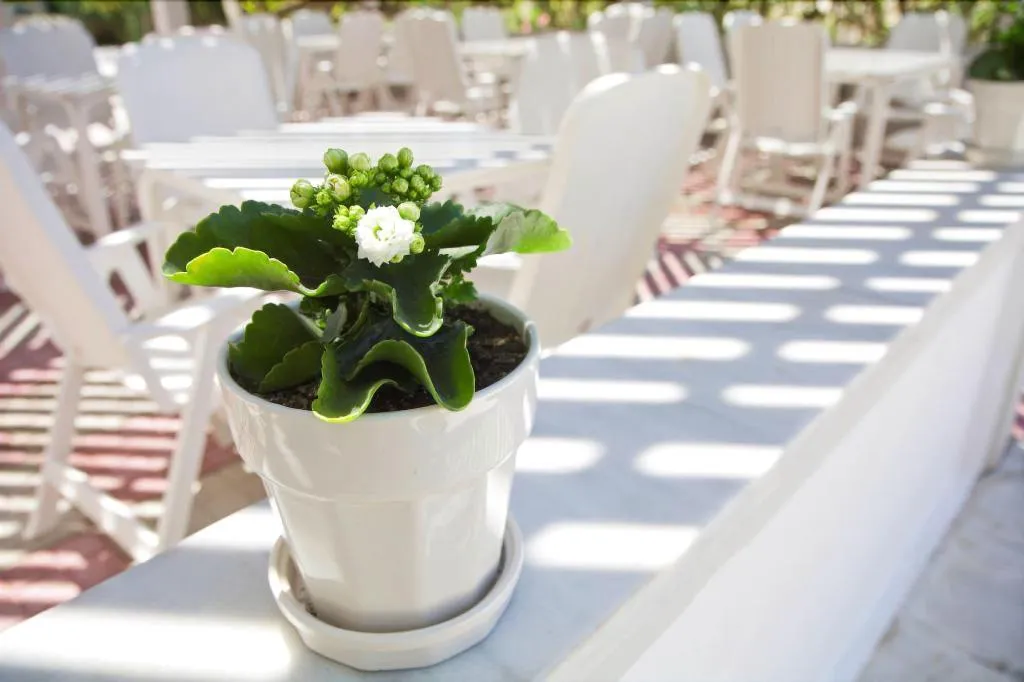 Terrace, Peli Hotel, Crete