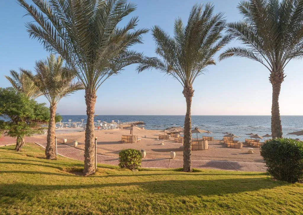 Beach, Serenity Alpha Beach, Red Sea Riviera
