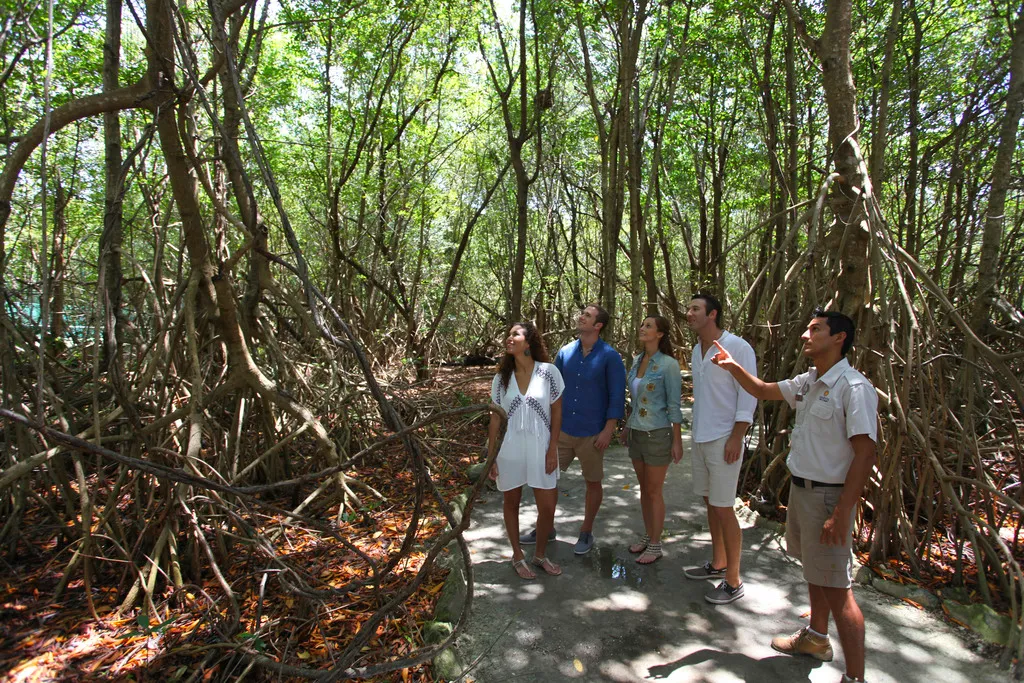 Sports and Entertainment, Sandos Caracol Nature Resort & Water Park All Incl, Playa Del Carmen