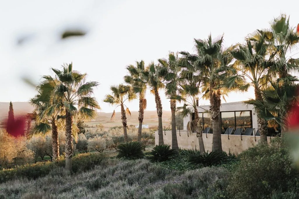 General view, Finca Serena, Majorca