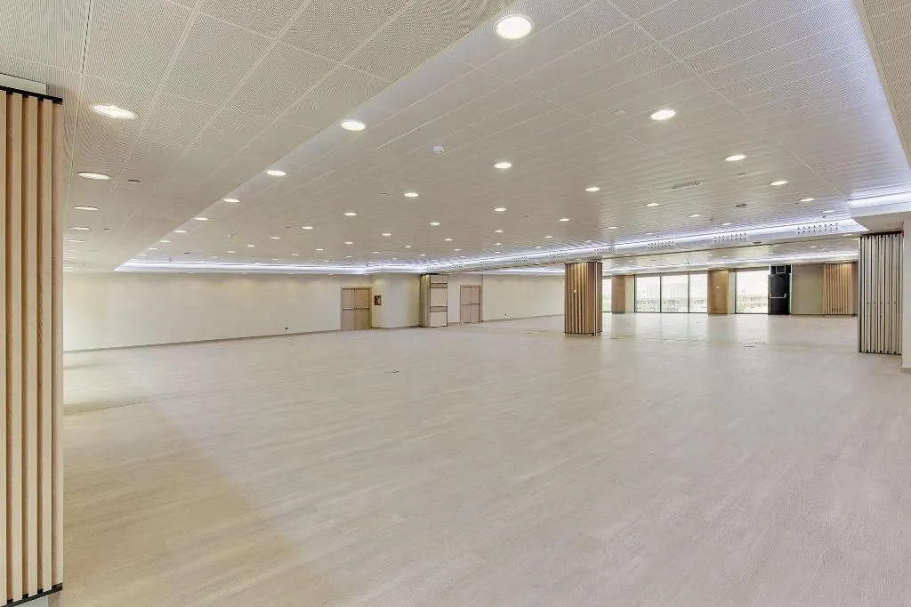 Conferences, Melia Avenida America, Madrid