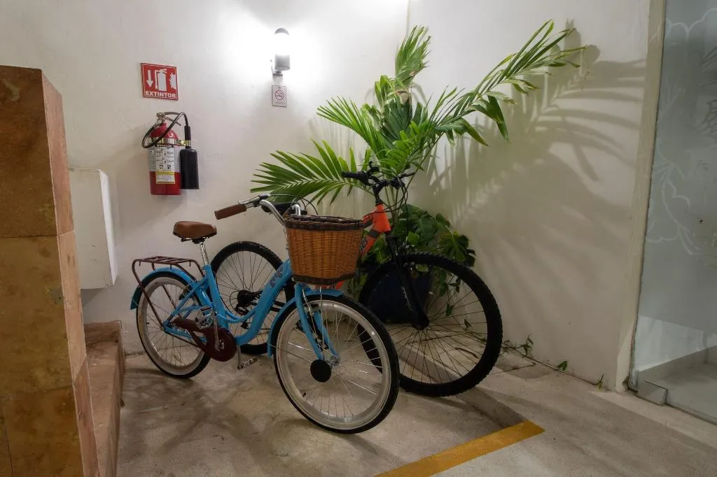 Sports and Entertainment, Hotel Villas Segovia Suites Playa Del Carmen, Playa Del Carmen