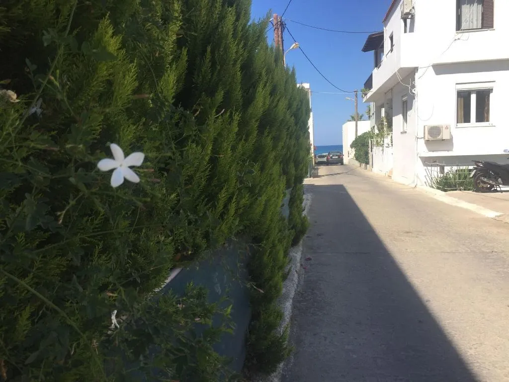 General view, Zannis, Crete