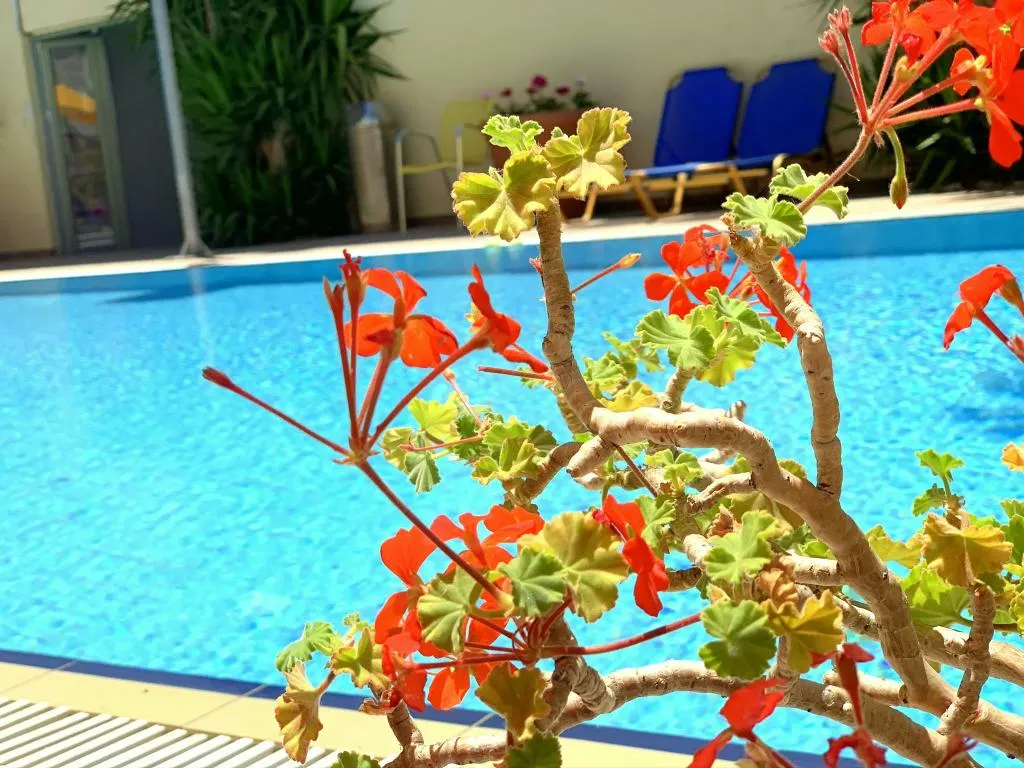 Pool, Kassavetis Center-Hotel Studios & Apartments, Crete