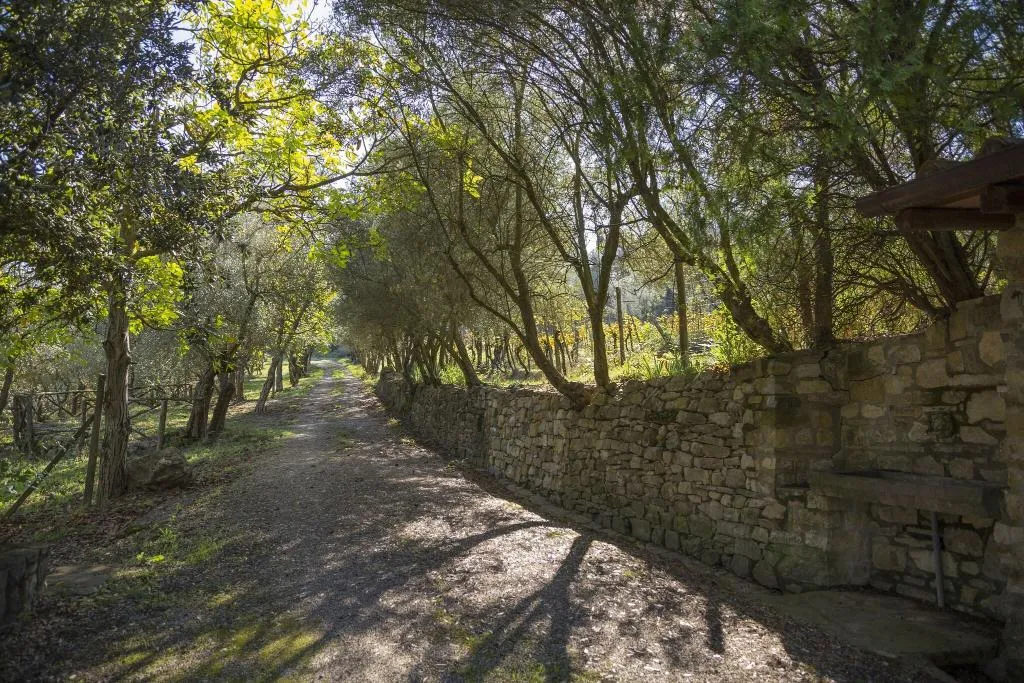 General view, Fattoria Il Milione, Florence