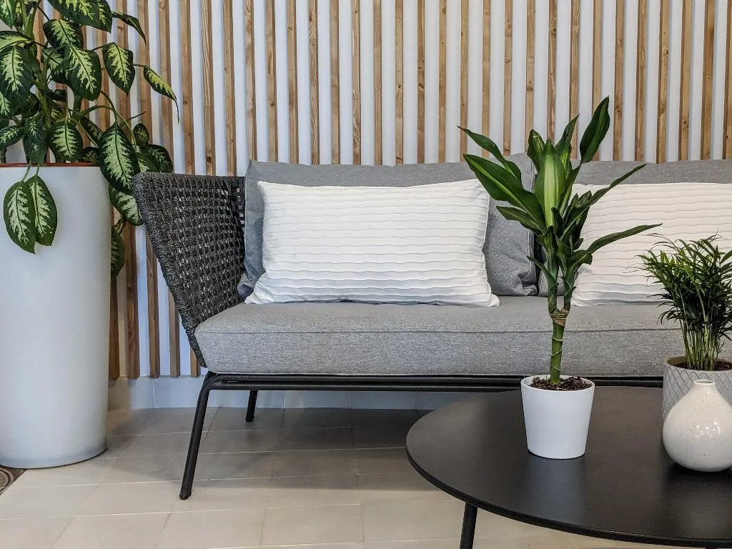 Lobby, Original Domino House, Valencia