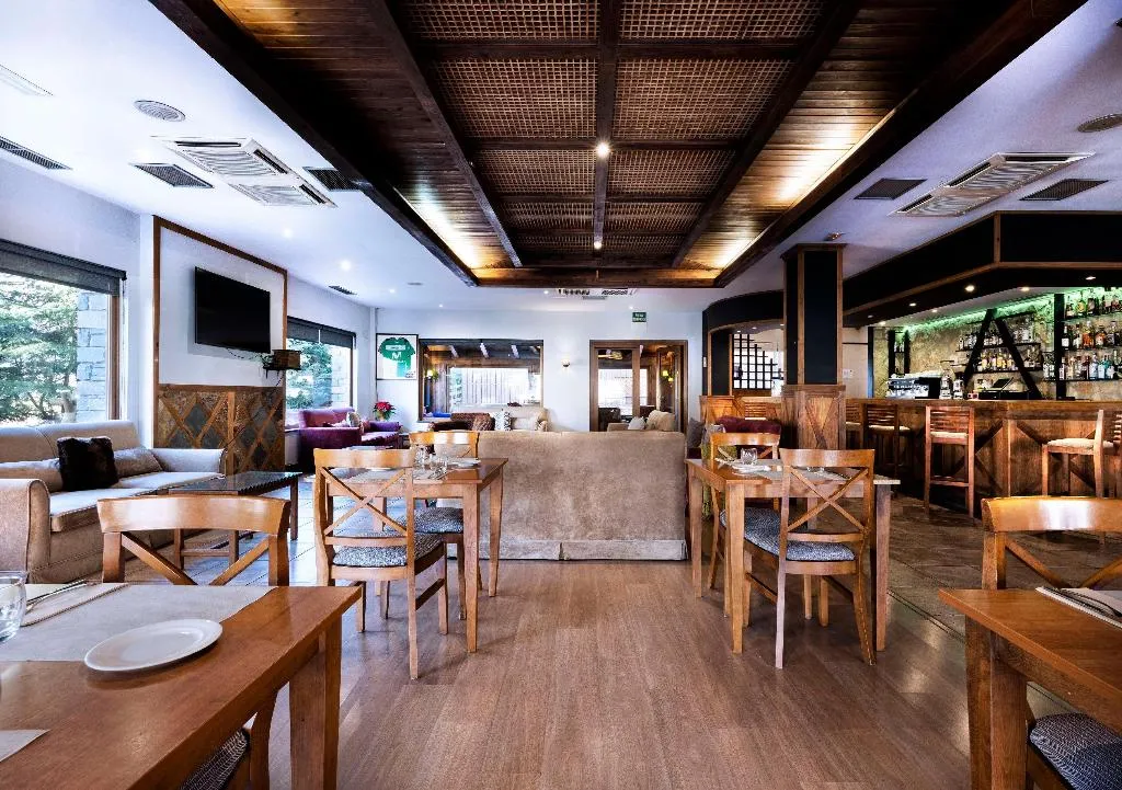 Bar, Vielha Val d’Arán Affiliated by Melia, Costa Brava