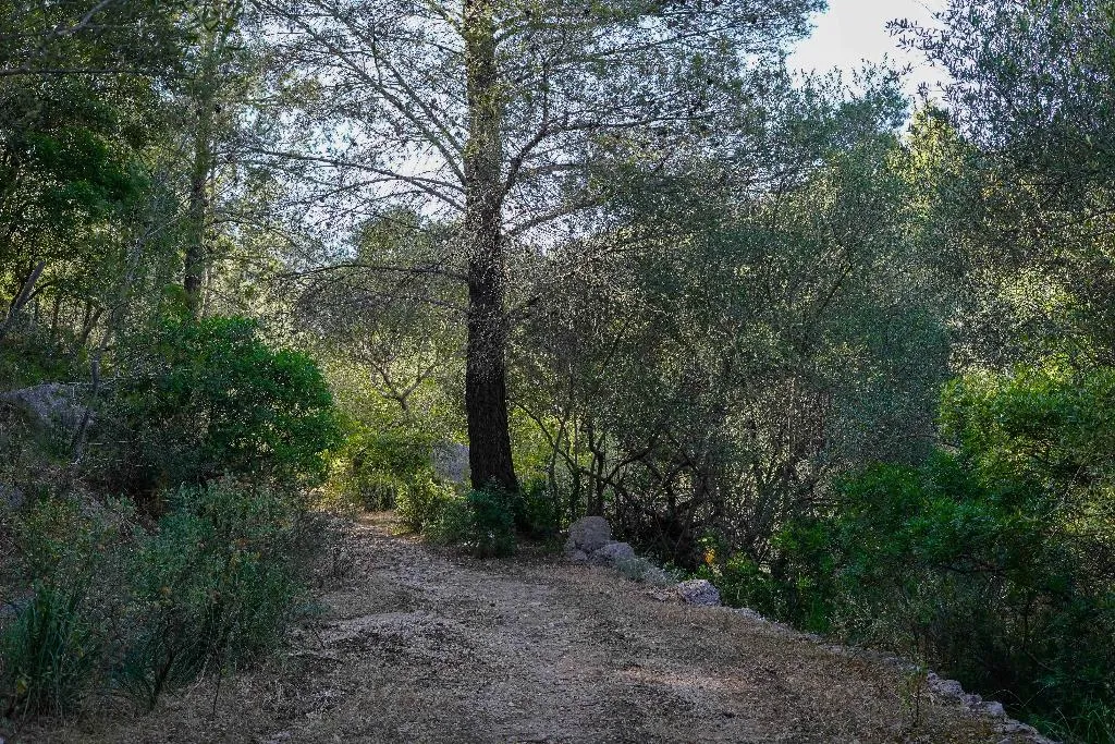 Sports and Entertainment, Hotel Rural S'Olivaret, Majorca
