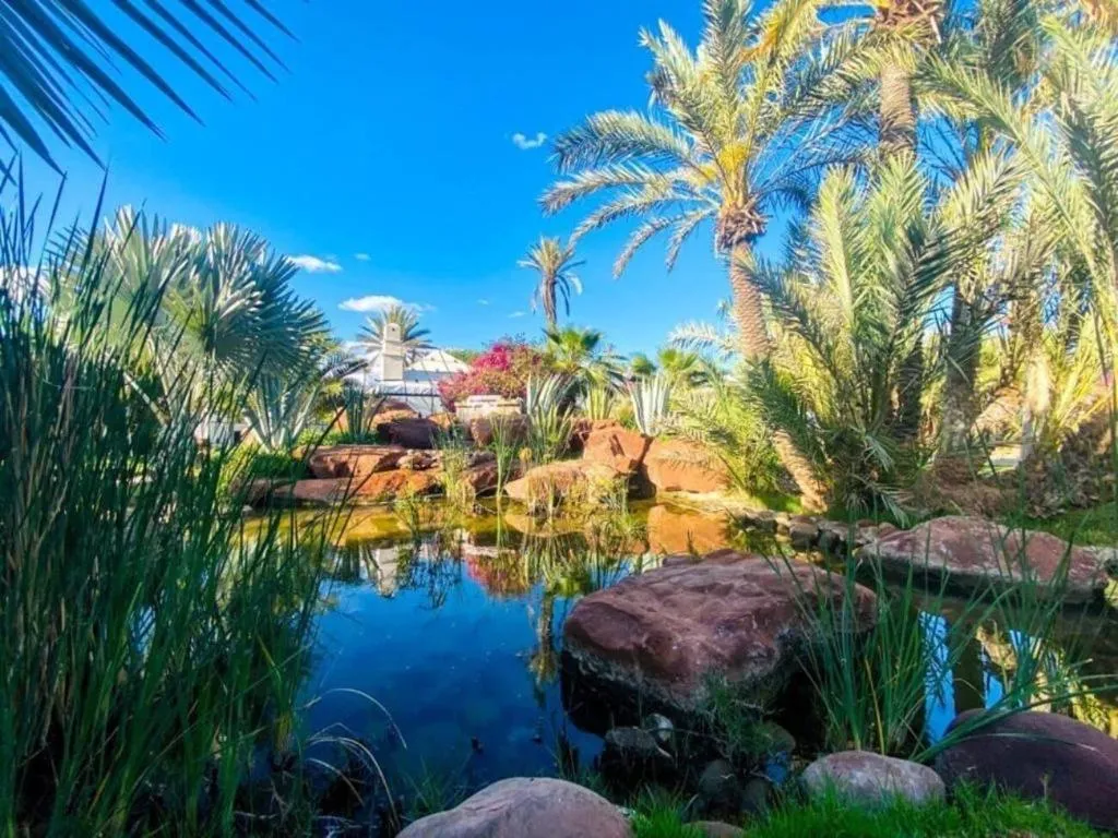 Room, Eden Lodges, Marrakech