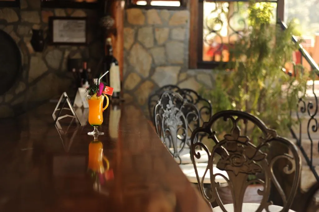 Bar, Villa Daffodil, Dalaman