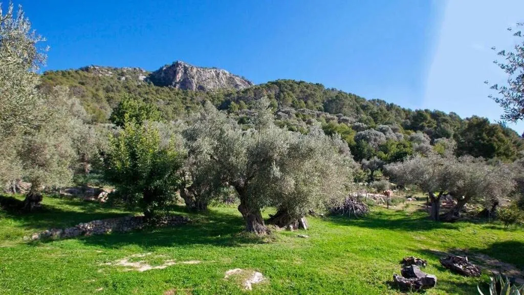 General view, Finca Hotel Es Castell, Majorca