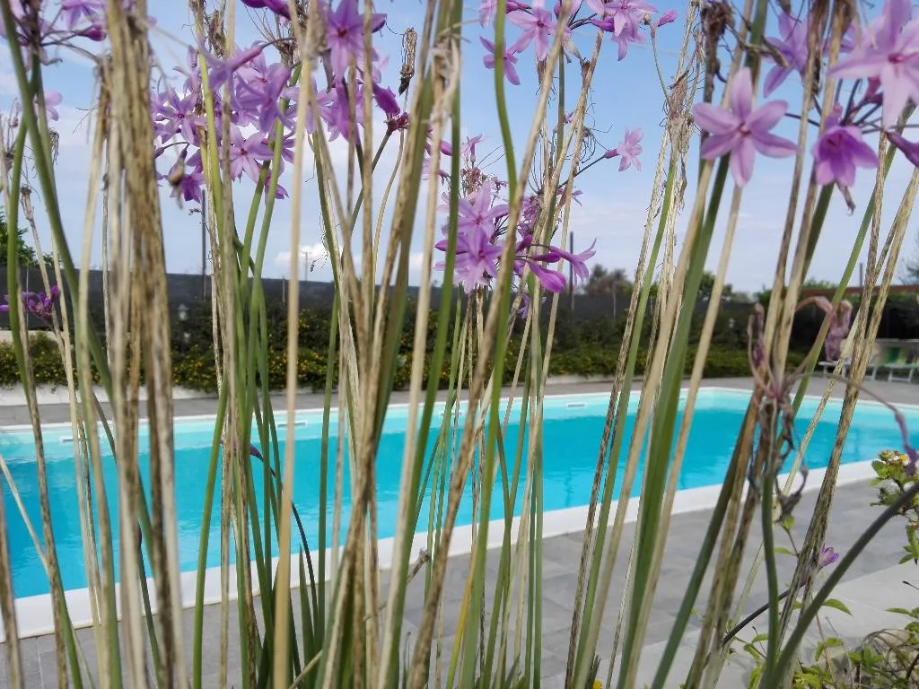 Pool, Agriturismo Terra dei Limoni, Catania