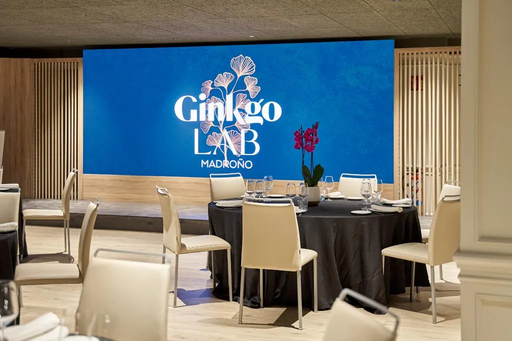 Conferences, VP Madroño, Madrid