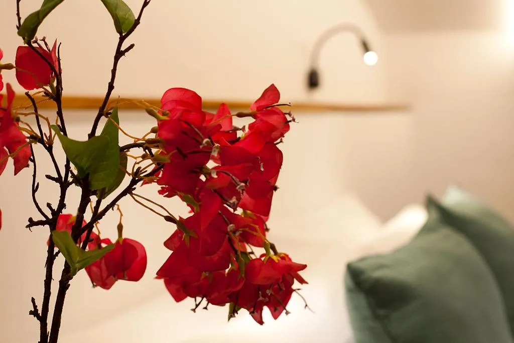 DOUBLE BASIC Room, My Rooms Arta Adults Only, Majorca