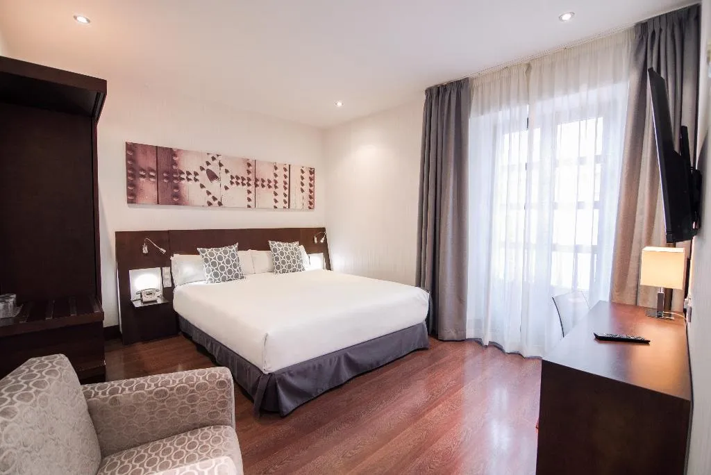 DOUBLE STANDARD Room, Petit Palace Marques Santa Ana, Seville