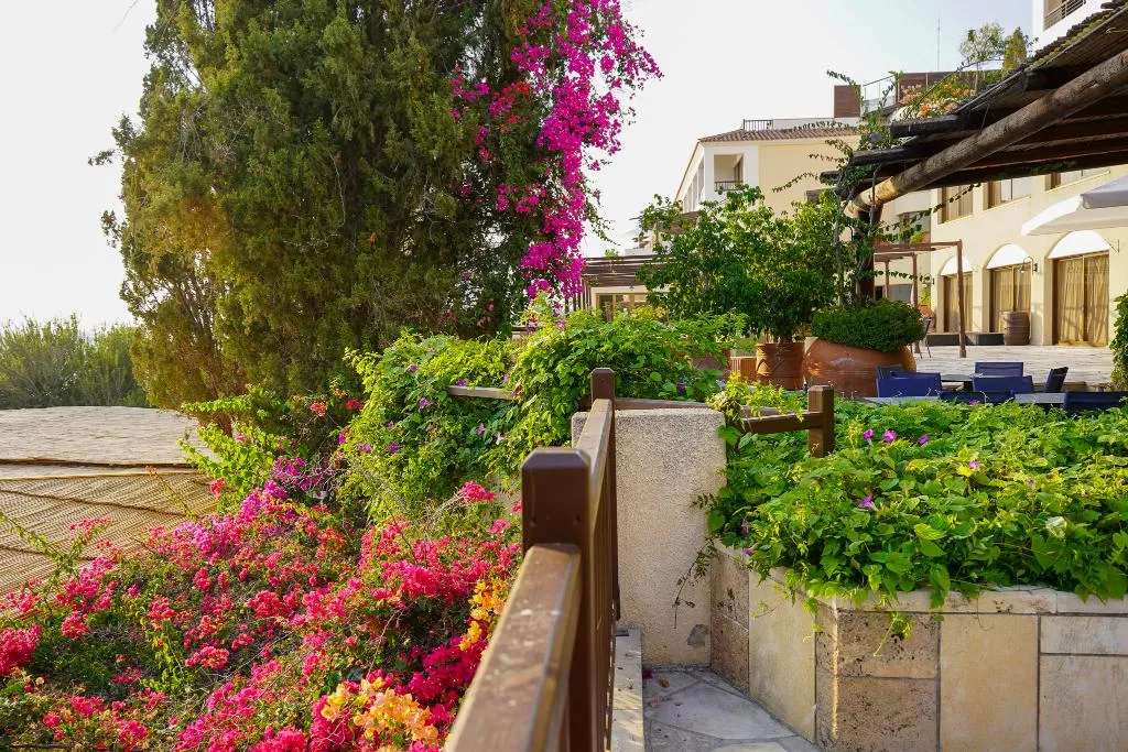 Terrace, Coral Beach Hotel and Resort, Cyprus