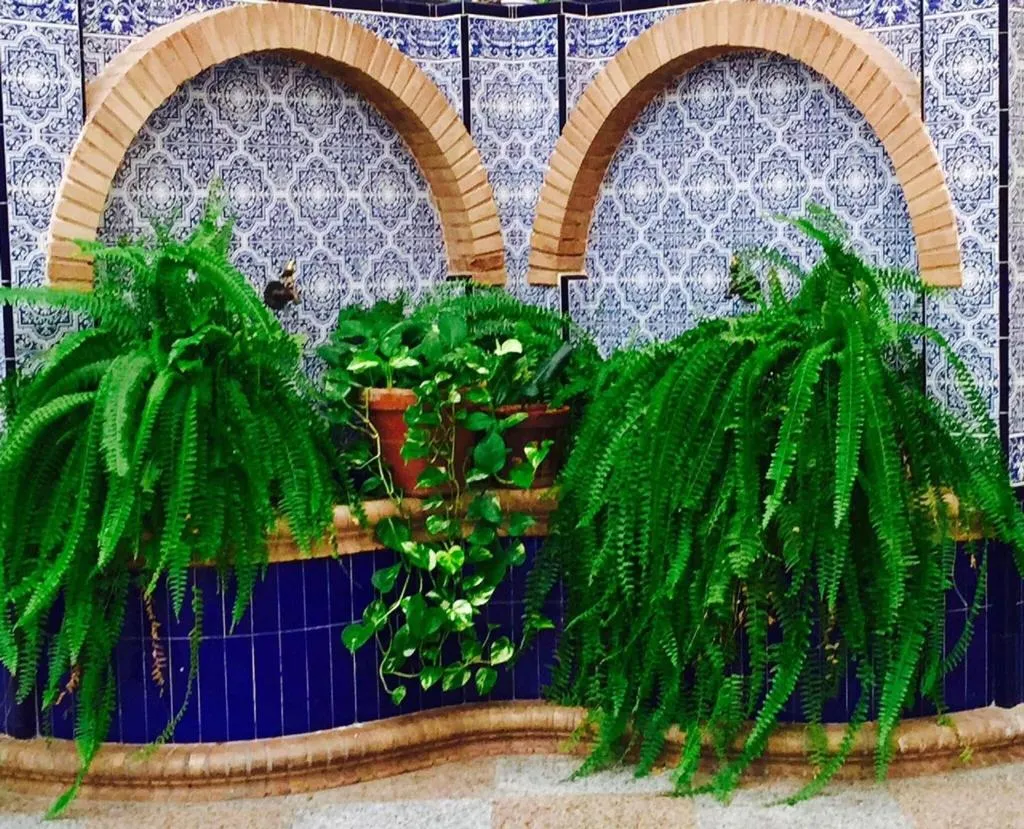 General view, Hotel Sandra, Andalucia