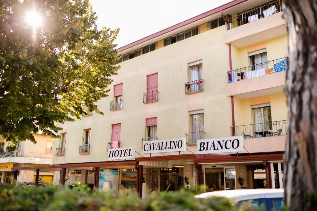 General view, Hotel Cavallino Bianco, Venice