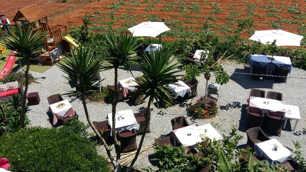 Restaurant, Mila malia studios hotel, Crete