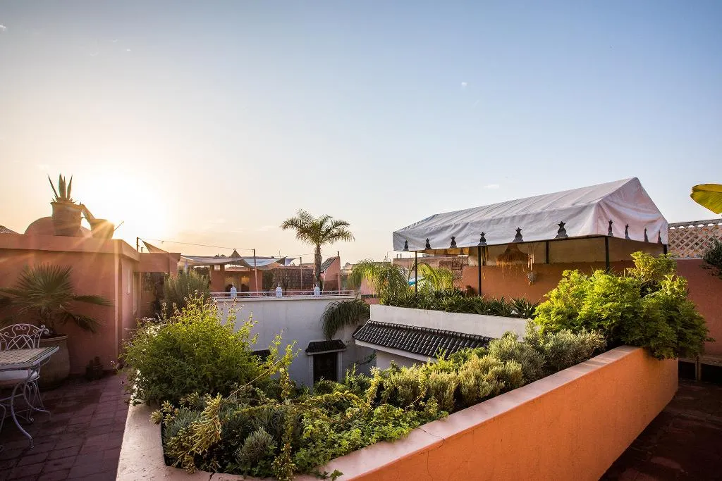 Terrace, Riad Villa Harmonie, Marrakech