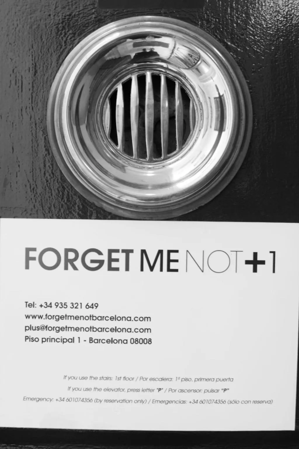 General view, Forgetmenot, Barcelona