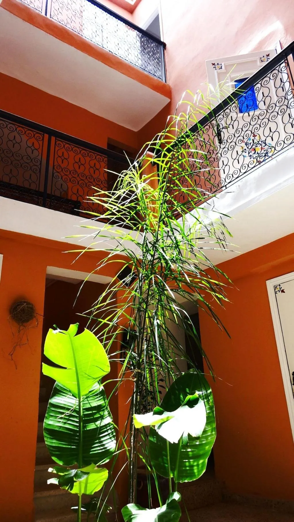 Lobby, Riad Yara, Marrakech