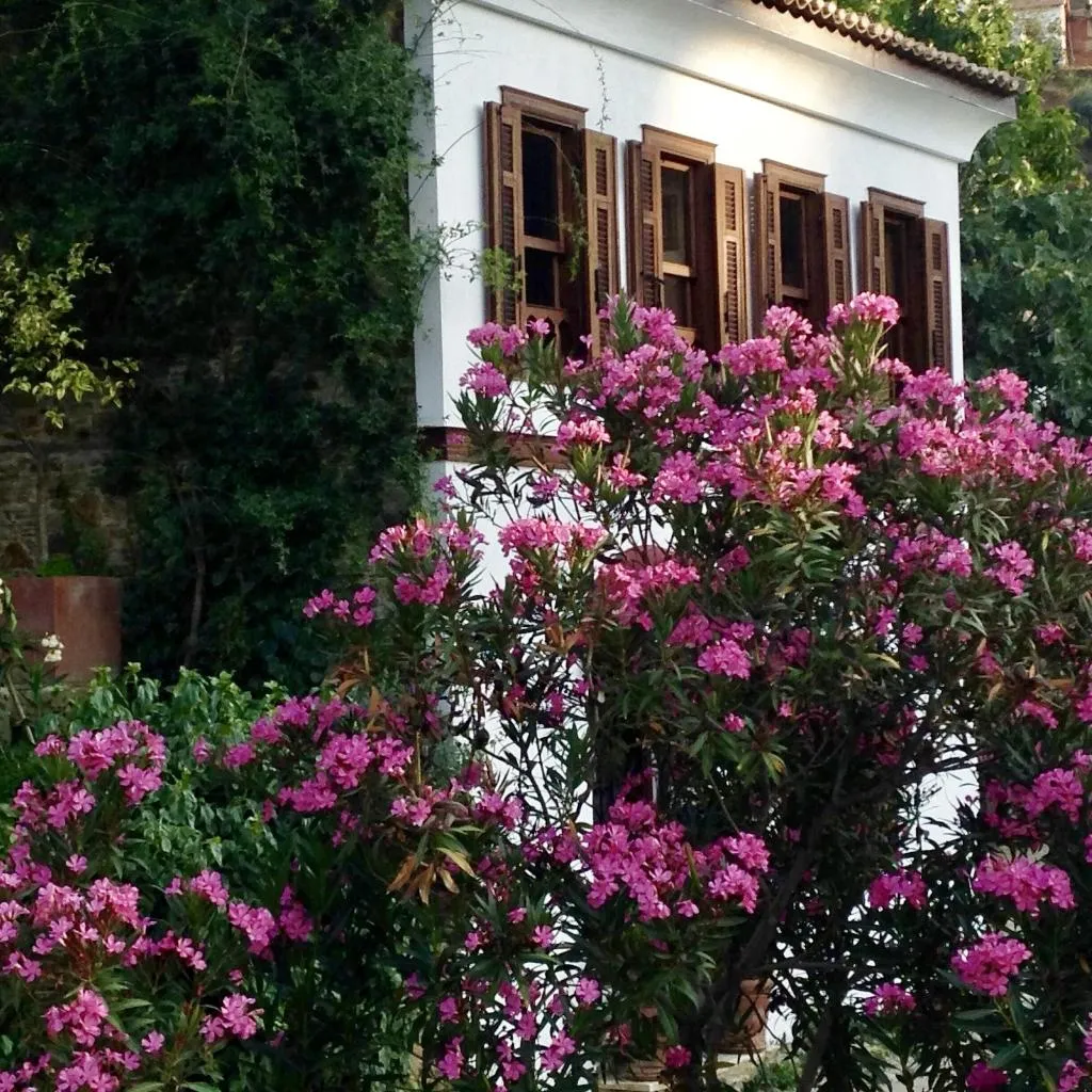 General view, Terrace Houses Sirince - Fig, Olive and Grapevine, Izmir