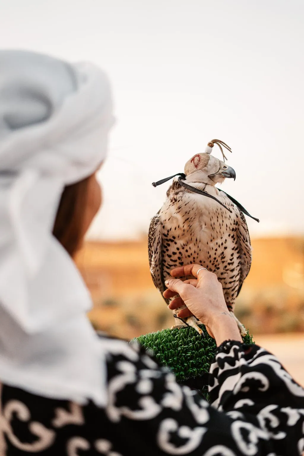 Sports and Entertainment, Mysk Al Badayer Retreat, Dubai
