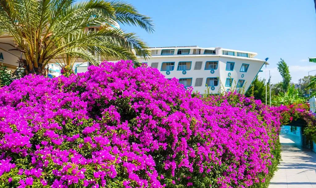 General view, Daima Biz Hotel, Antalya