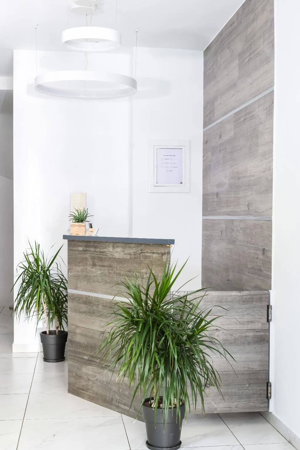 Lobby, Iasonos Suites Athens, Athens