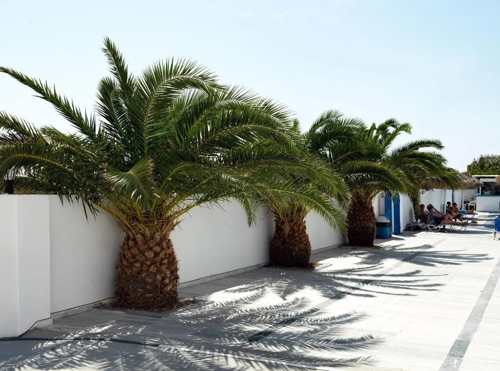 Sports and Entertainment, Villa Valvis, Santorini