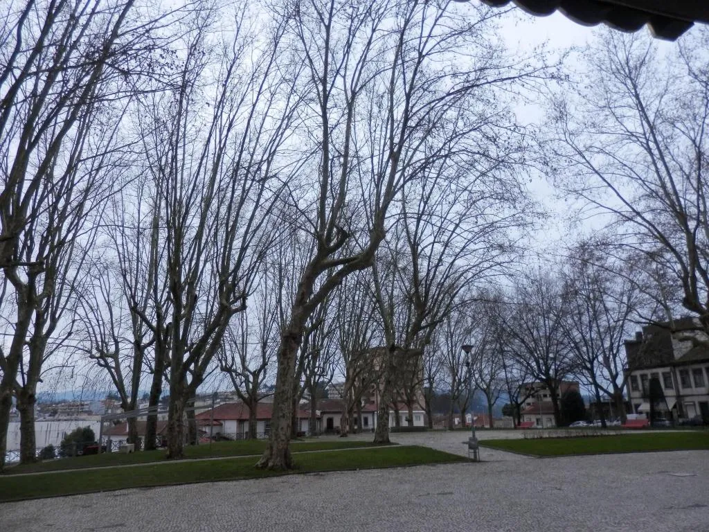 General view, Carvalhais Residencial, Porto