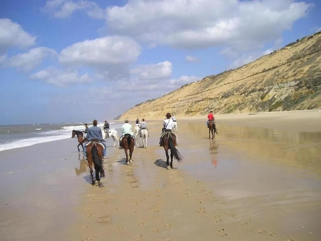 Beach, Albaida Nature, Costa De La Luz