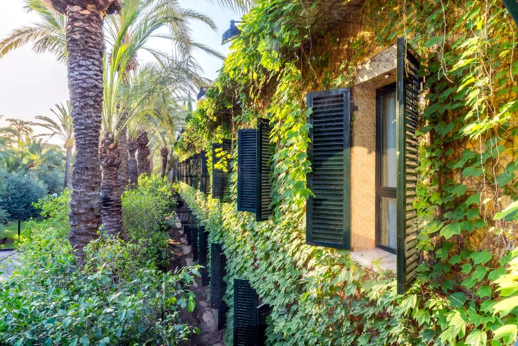 General view, Jardin Milenio, Costa Blanca