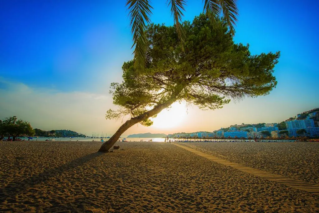 Beach, Flip Flop Surfing Playa Apartments, Majorca