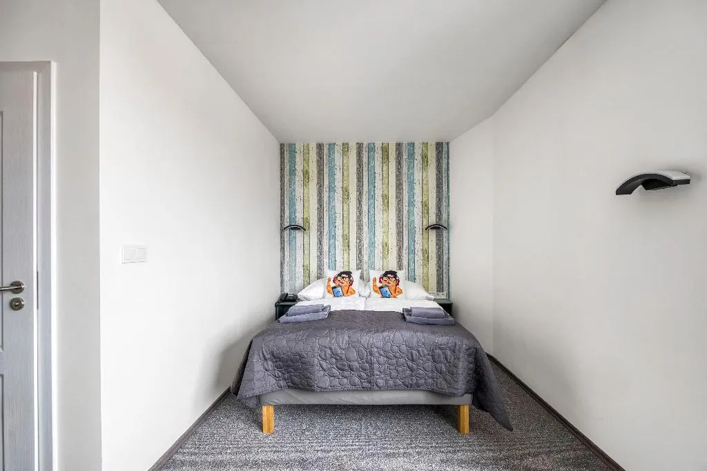 DOUBLE SUPERIOR Room, Hotel Villa Wagner, Prague