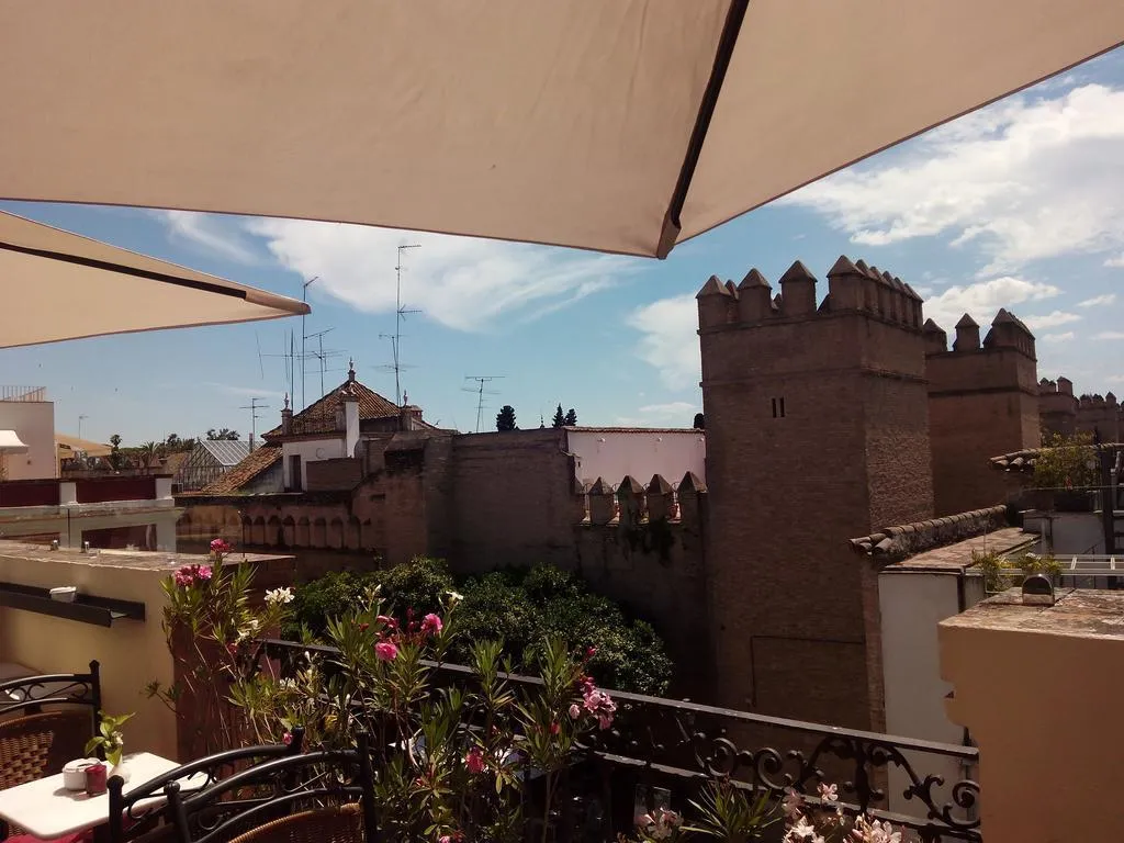 Terrace, Hotel Palacio Alcázar, Seville