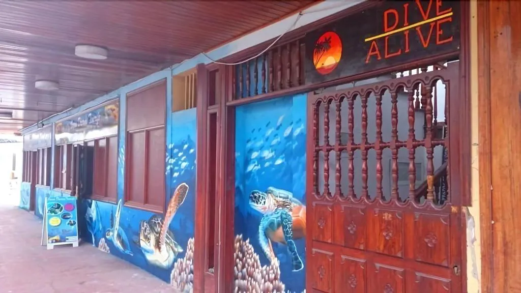Terrace, Sea Hostel Dive Alive, Tenerife
