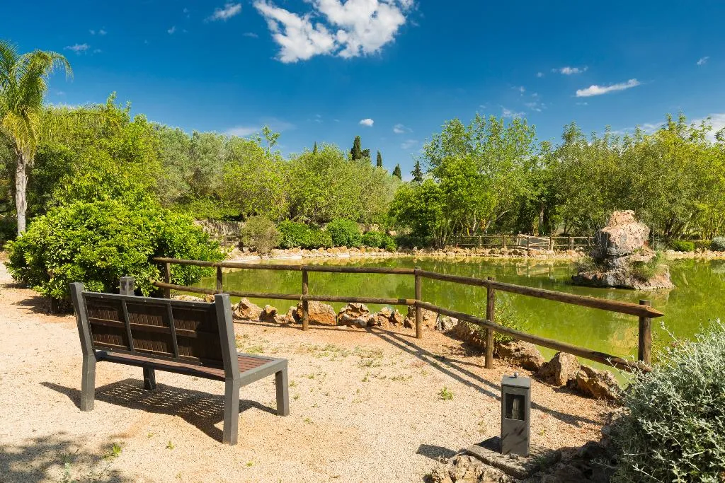 Terrace, Agroturisme Sa Torre, Majorca
