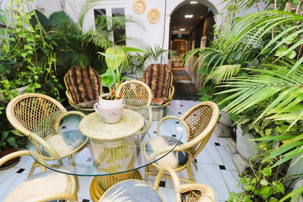 Terrace, Hostal Hispano-Argentino Gran Via, Madrid