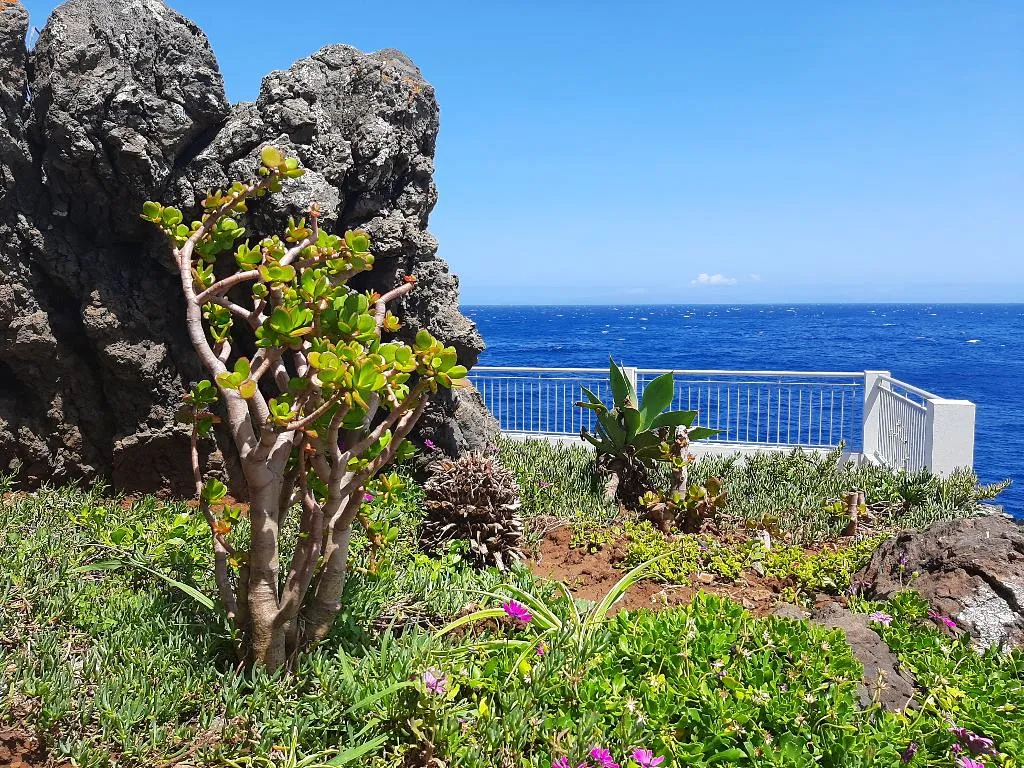 General view, Hotel Roca Mar, Madeira
