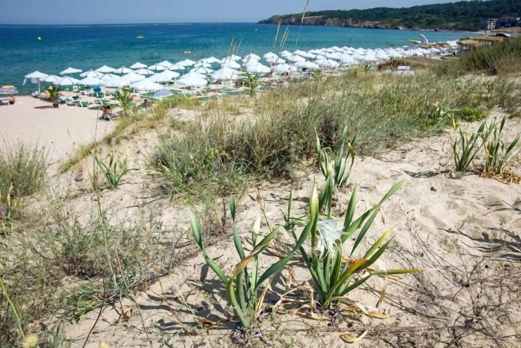 Beach, Hotel Miramar, Bourgas