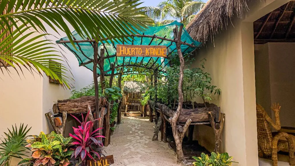 General view, Dune Boutique Hotel Tulum, Cancun Area