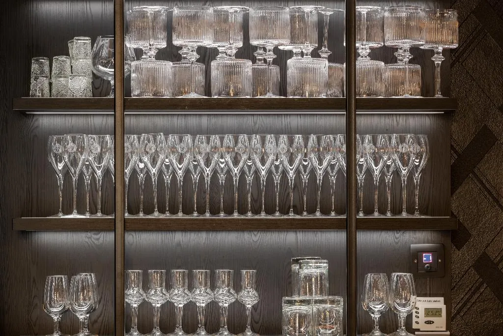 Bar, Grauer Bär, Innsbruck