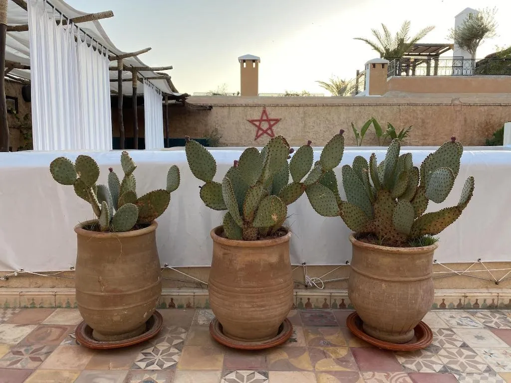 Room, Riad Tizwa, Marrakech