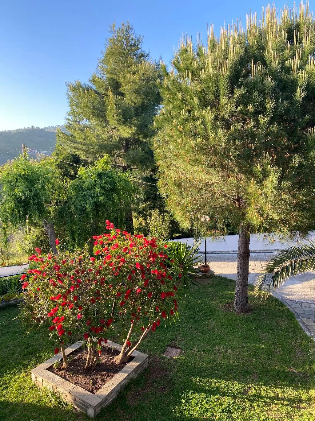 General view, Villa Xanthippi, Skiathos
